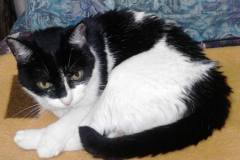 10348189_10202689465145083_8862629685240760567_n