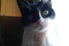 10473737_10202689498705922_7336217765239386328_n